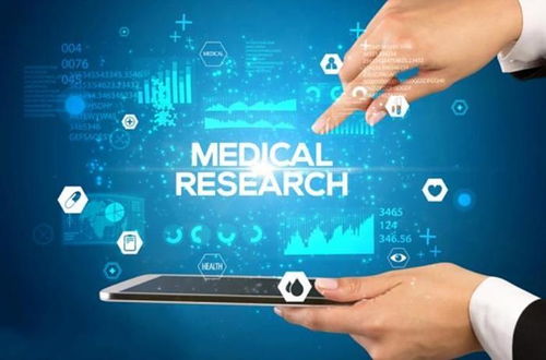 东莞乐京网络技术 软件开发领域的卓越先锋